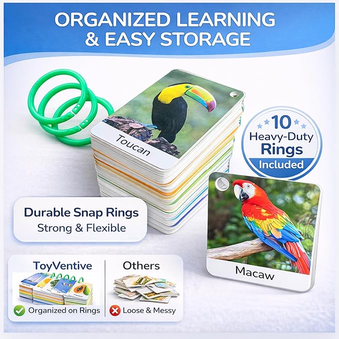 Flash Cards for Toddlers 1–3 with Rings,250 Double-Sided Cards,500 Words–1 Year Old Girl & Boy Gifts – Toddler Flash Cards–Learning & Educational Toys for 1+ Year Old, Montessori Toys for 2 Year Olds