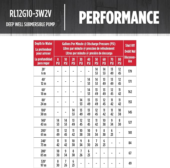 Red Lion RL12G10-3W2V Submersible Well Pump, 1 HP, 3-Wire, 230V, 12 GPM