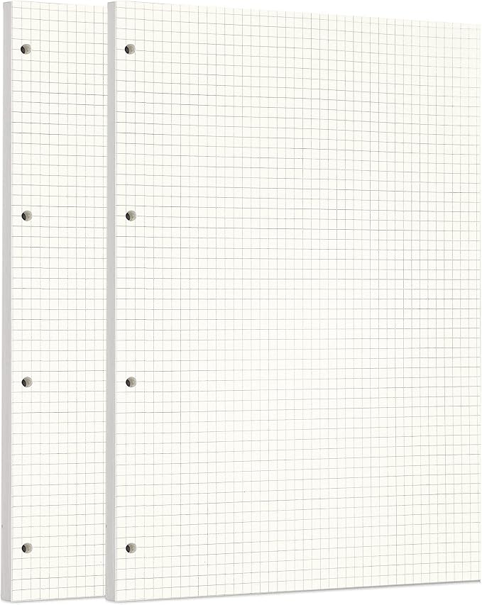 Zelten 2 Pack A4 90 Sheets/180 Pages Squared Loose Leaf Punched Paper Refills Paper for 4 Hole Binder Personal Organizer Diary Notebook Refillable Planner