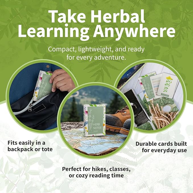 Herb Notes Flash Cards – Educational Plant Learning Cards with Botanical Illustrations – 48-Card Set for Plant Identification, Nature Study & Classroom Learning