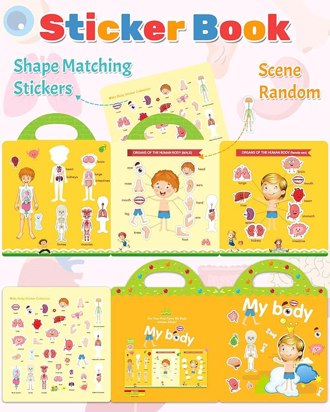 Benresive Reusable Sticker Book for Toddlers, Travel Stickers for Kids, Toddler Crafts Activities Toys, Birthday Gifts for Boys & Girls - My Body