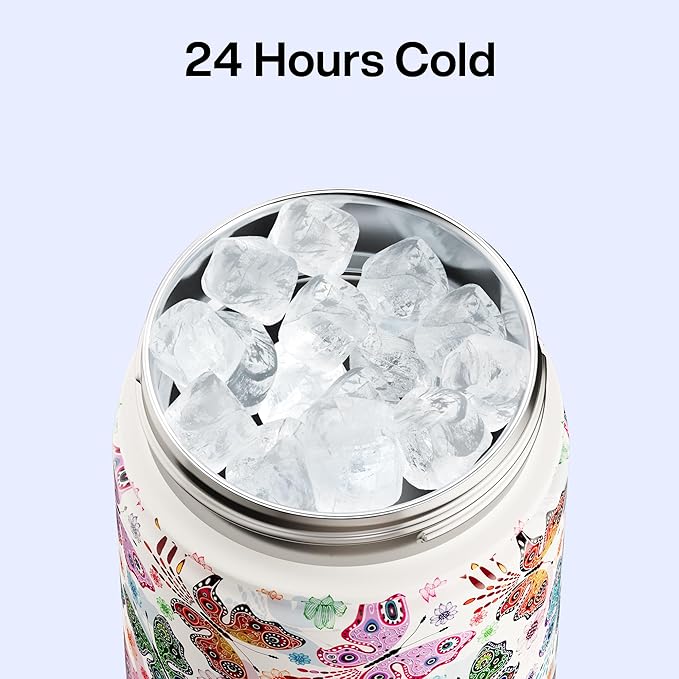 ENCOOL Insulated Water Bottle with Straw Stainless Steel Water Bottle, Leak-Proof, BPA-Free, Double Wall Vacuum Keeps Cold for 24 Hours for Sports, Travel, School (26 oz, Aesthetic Butterfly)