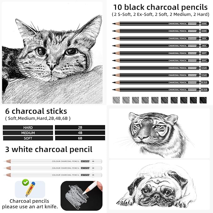 GETHPEN 27 Piece Charcoal Drawing Set - Professional Black & White Charcoal Pencils for Sketching, Shading & Blending, Graphite Sticks with Artist Art Supplies Kit (Beginners & Professionals)