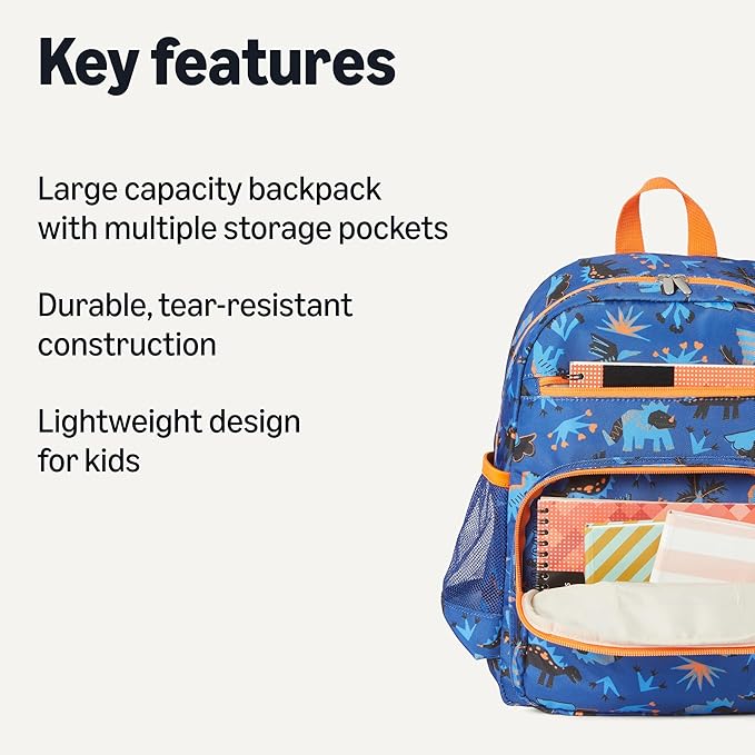 Amazon Essentials Kids School Backpack with Multiple Storage Pockets - Durable Tear-Resistant Day-pack for Books and Supplies-Children's School Bag - Blue Navy