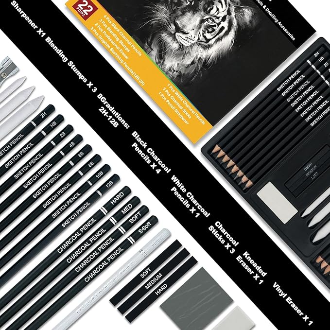 Aenir Charcoal Pencils for Drawing, Set of 22, Professional Drawing Sketch Pencils, Charcoal Art Supplies for Sketching, Shading, Artist Charcoal Supplies for Beginners & Pro Artists.