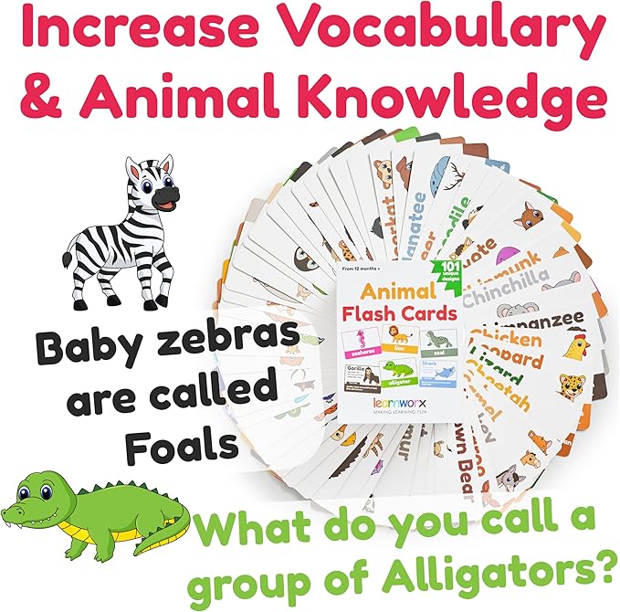 Animal Flash Cards for Toddlers & Kids – Animal ABC Flashcards – Animal Alphabet - 101 Toddler Flashcards – Preschool Flash Card for Kids – Farm, Sea, Jungle, Forest & Birds - Ages 2 3 4 and 5