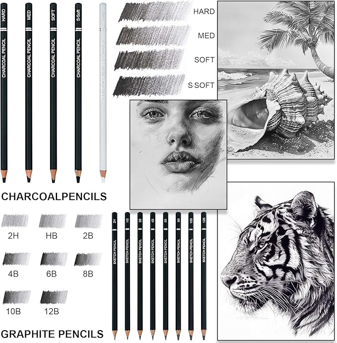 Aenir Charcoal Pencils for Drawing, Set of 22, Professional Drawing Sketch Pencils, Charcoal Art Supplies for Sketching, Shading, Artist Charcoal Supplies for Beginners & Pro Artists.