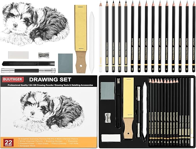 22-Piece Drawing kit Sketch Pencils Set - Graphite Pencils (6H-10B) Black and White Charcoal Pencil Charcoal Sticks - Drawing Pencil Kit for Artists Adults Teens Beginner, Ideal for Shading, Blending