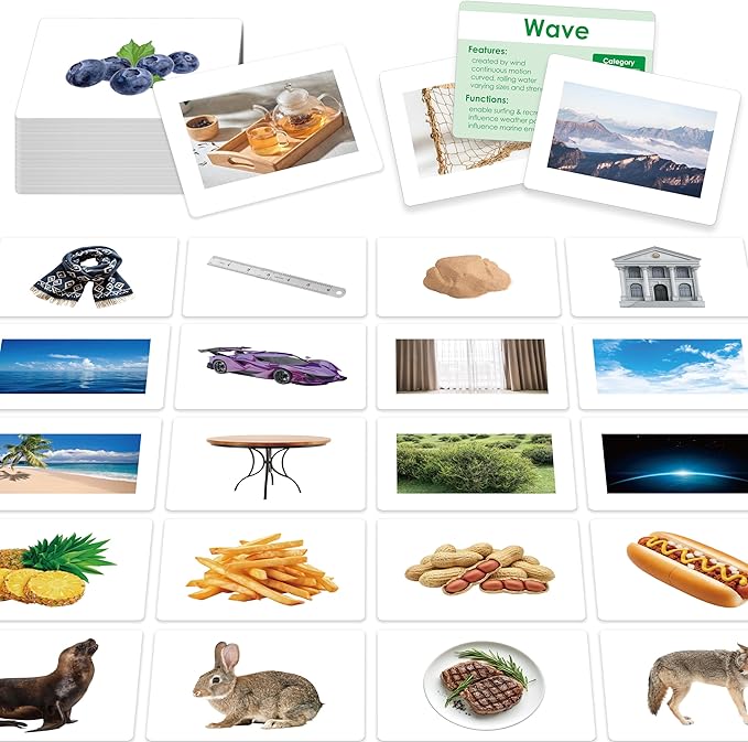 140 Noun Picture-Word Cards, Picture Flashcards Language Builder Visual Aid Speech Development Tool for Autism, ESL Teaching Material Non-Verbal Vocabulary Builder for Children, Kids, Adults (Level 2)