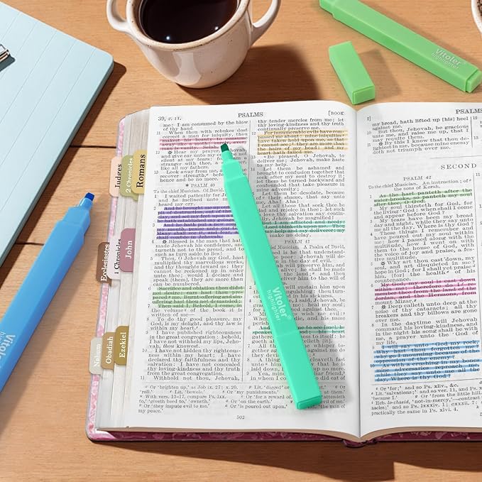 Cute Highlighters Set, Aesthetic Pastel, Quick Dry, Chisel Tip 8Pcs | Cute Pastel,No Bleed,Bible Study for Adults in the Home School Office