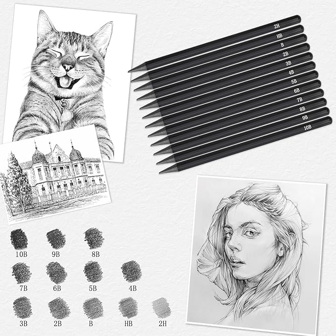 EVNEED Woodless Pencil Set,12 pcs Non-wood Graphite and Charcoal Sketching for Drawing,Writing,Shading,Color Black-Set of 12