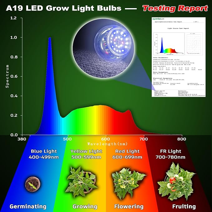 Full Spectrum Grow Light Bulbs for Indoor Plants E12 Candelabra Base | Grow LED Light Bulb 10W with Balanced Spectrum 5000K Blue Red for Seeds Greens Laboratory,School,Greenhouse Garden,6Pcs