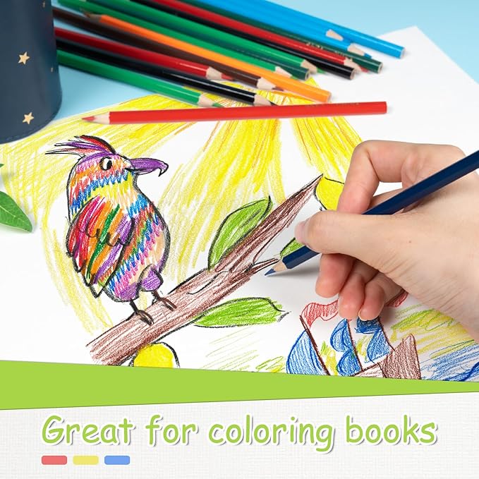 S & E TEACHER'S EDITION Colored Pencils 240Pcs,Coloring Pencils Set Drawing Pencils for Sketch, Woodcase Lead Pencils, Wooden Colored Pencils, Back to school