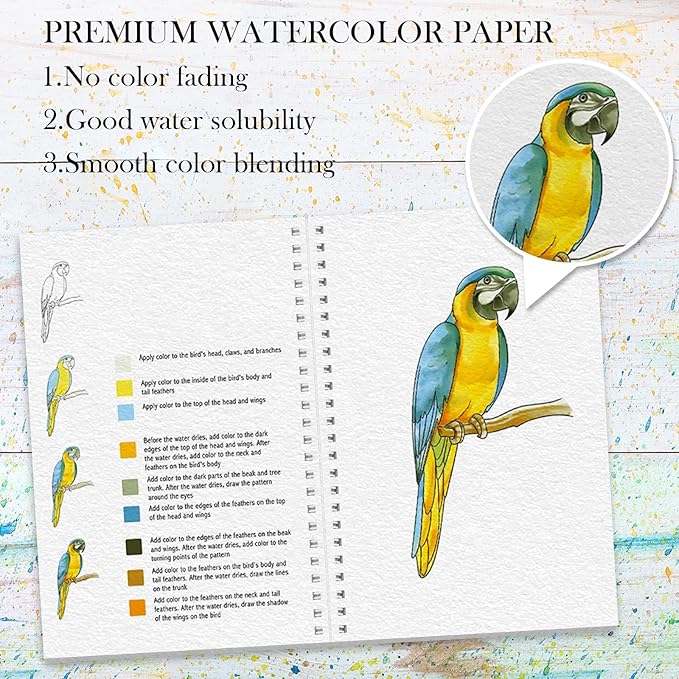 3Pcs Watercolor Workbook Paint Book Beginner Friendly Painting Kit, 36 Pages Workbooks with 24 Paint Colors & Brush for Beginners, Stress-Relieving Gift for Women Adults (Bird&Flower&Kitchen)