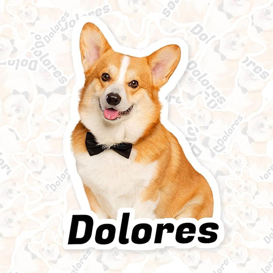 Personalized Pet Photo Stickers for Water Bottles Dog Cat Name Stickers Decals Custom Picture for Tumblers, Helmet, Cups, Phone Cases, Laptop and Dog Cat Bowls (Die Cut)
