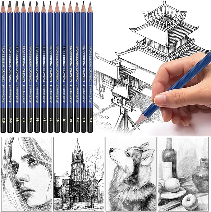 Pro Pencils Drawing Sketching Set 14 pcs Graphite (12B - 6H) Kit Soft Pencils Ideal Gift for Drawing Art, Sketching, Shading, Artist Pencils for Beginners Pro Artis