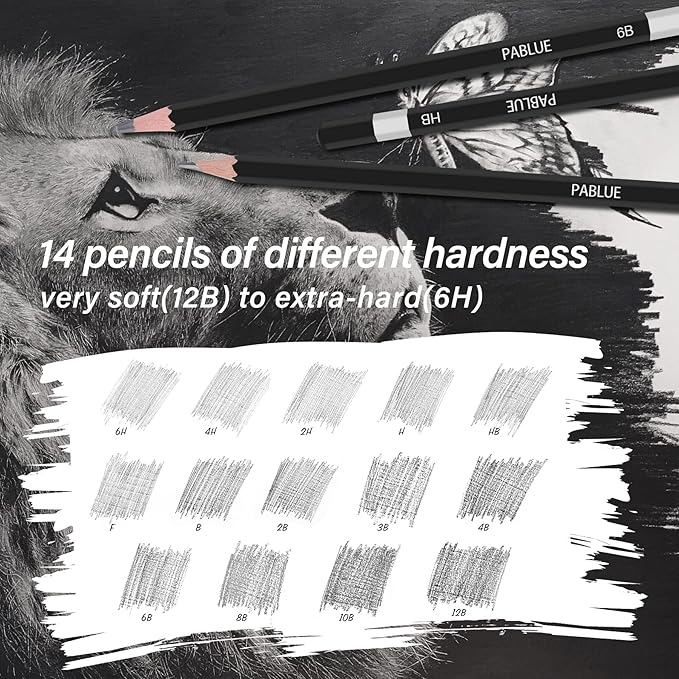 Professional Triangular Drawing Sketching Pencil Set,6H,4H,2H,H,HB,F,B,2B,3B,4B,6B,8B,10B,12B Graphite Shading Pencils Gift for Beginners,ProArtists,Drawing,Drafting,Sketching,Shading(14 Pcs)