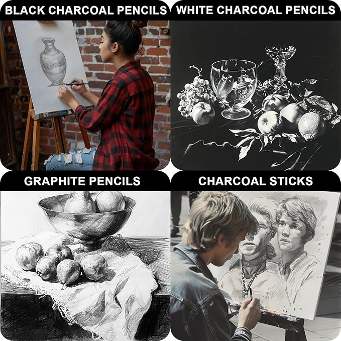 Aenir Charcoal Pencils for Drawing, Set of 22, Professional Drawing Sketch Pencils, Charcoal Art Supplies for Sketching, Shading, Artist Charcoal Supplies for Beginners & Pro Artists.