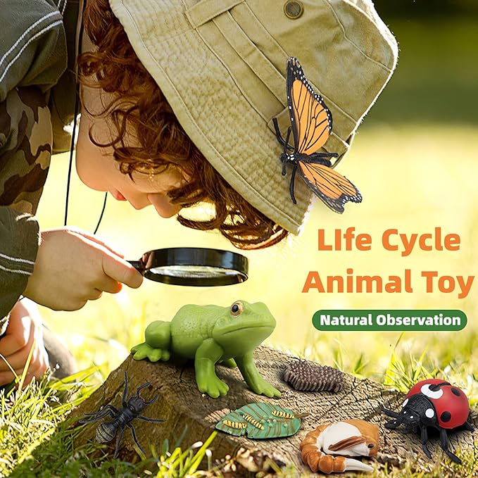 Montessori Life Cycle Animal Figures with Flash Cards, Realistic Animal Figurines Toy, Educational Matching Game for 3+ Year Old Toddlers Kids (Mosquito)