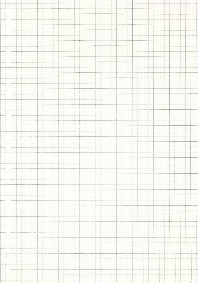 Zelten 2 Pack B5 120 Sheets/240 Pages Squared Loose Leaf Punched Paper Refills Paper for 26 Hole Binder Personal Organizer Diary Notebook Refillable Planner
