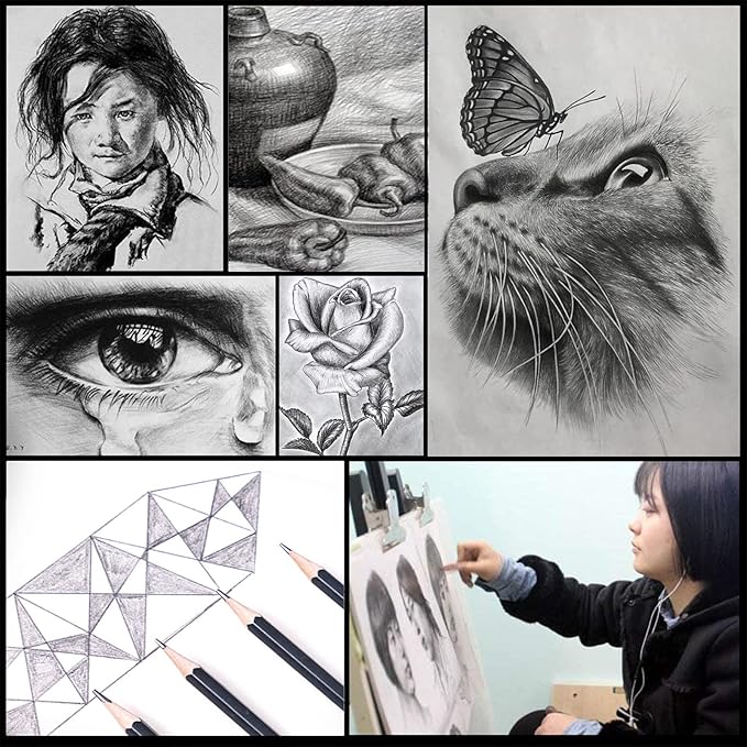 Heshengping 31 Drawing Sketching Pencils Kit, Portable Artist Supples Travel Case Set has Graphite, Charcoal, white color pencil, Blending Stump, gift for Adults Beginners for Drawing Sketch