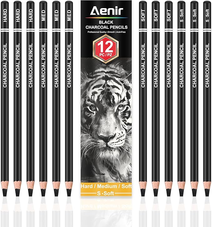 Aenir Charcoal Pencils for drawing, Set of 12, Charcoal Drawing Pencils (S-Soft, Soft, Medium, Hard), Art Supplies for Artist, Sketching, Shading