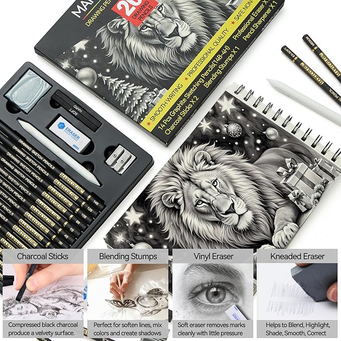 MARTCOLOR Drawing Sketching Pencil Set, 20 Pieces, Graphite Pencils (14B-4H), Charcoal Sticks, Stump, Eraser, Sharpeners, Ideal for Drawing Art, Sketching, Artist Pencils for Beginners & Pro Artists