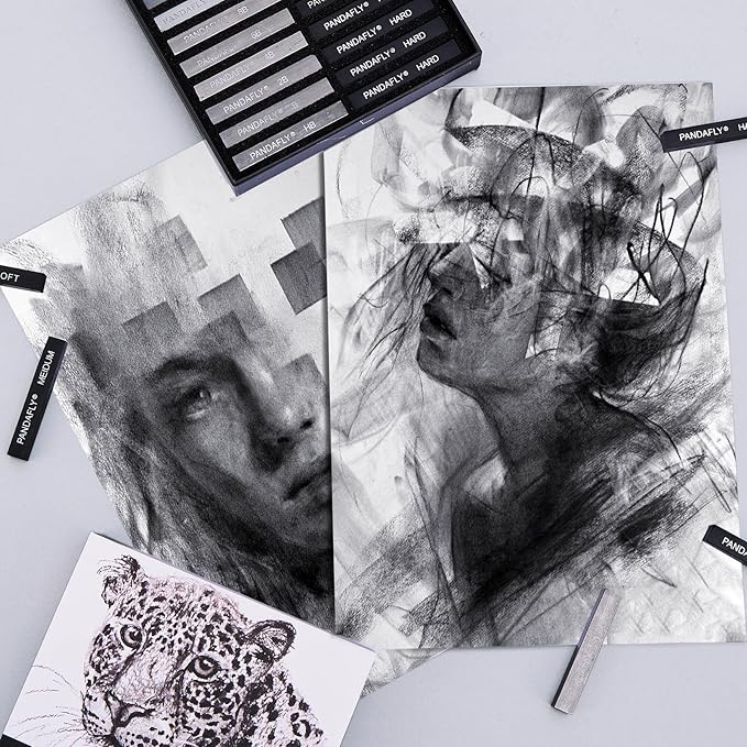 PANDAFLY Compressed Graphite Charcoal Sticks, 24 Pieces Black & White Vine Charcoal Sticks for Drawing, Sketching, Shading, Charcoal Drawing Set for Beginners & Pro Artists