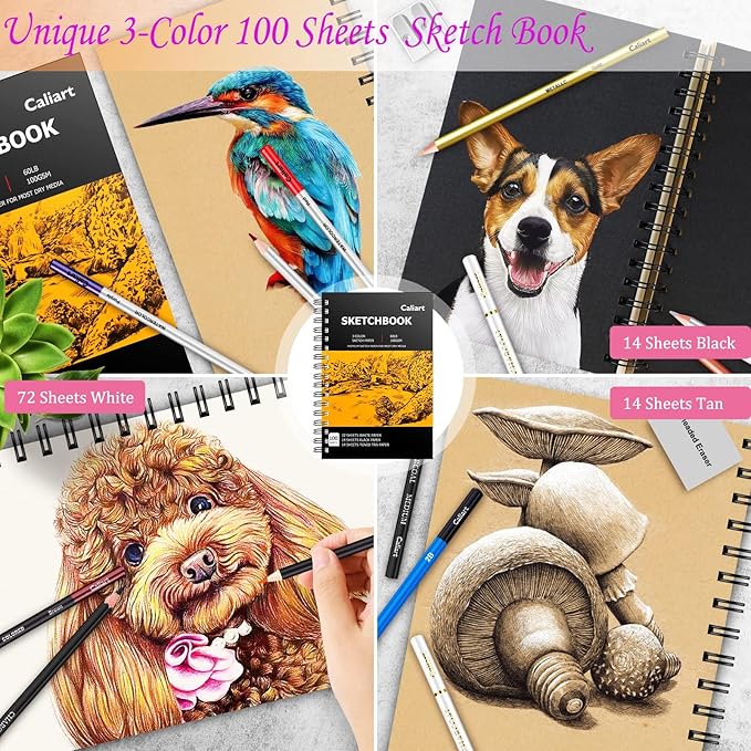 Caliart 176PCS Art Supplies Sketching Kit with 100 Sheets 3-Color Sketch Book, Graphite Colored Charcoal Watercolor & Metallic Pencils, Drawing Set Gifts for Adults Teens Girls Boys Kids