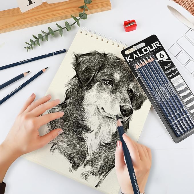 KALOUR PDAS Professional Drawing Pencils for Sketching - 6 pcs Matte Graphite Art Pencil Set (HB to 12B) for Shading, Beginners & Pro Artists