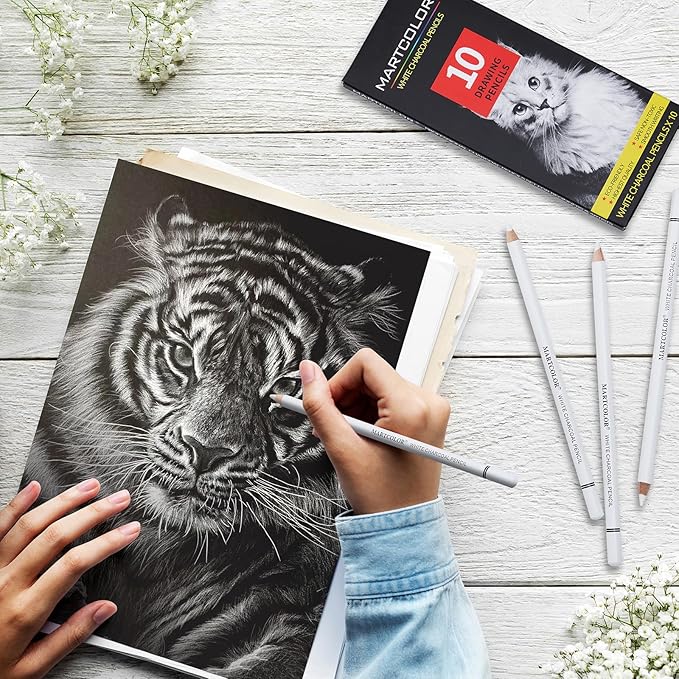 MARTCOLOR Professional White Charcoal Pencils Set, 10 Pieces Sketch Highlight Charcoal Pencils for Drawing, Sketching, Shading, Blending, White Chalk Pencils for Beginners & Artists