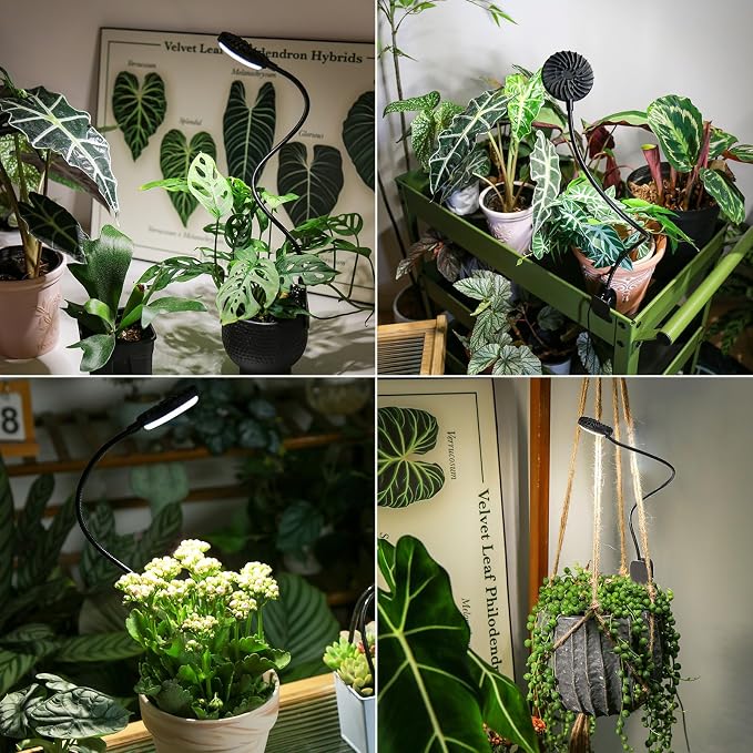 2 Pack Clip-On Grow Lights for Indoor Plants, 12W Each, Black | 4000K Full Spectrum, Flexible Gooseneck, 3/6/12H Timer, 4 Dimmable Levels
