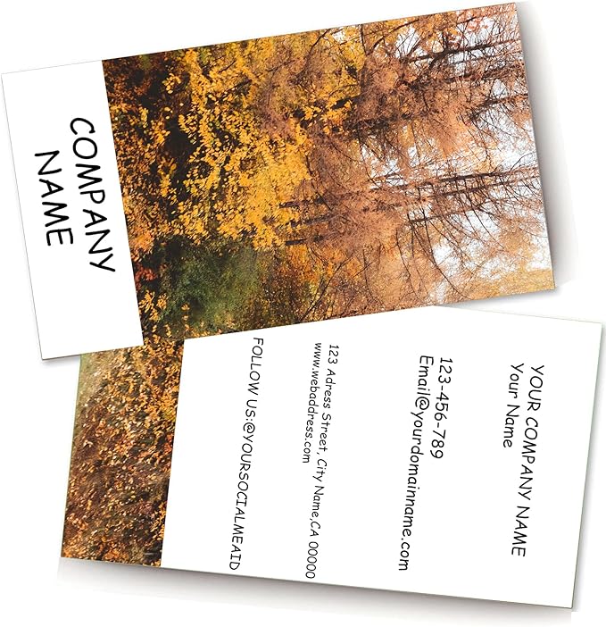 500 pcs Full Color Custom 2 Sides Printed Business Card Custom with Your Logo Two-Sided Design,Personalized Name Card, 3.5" x 2"Business Card No Additional Charge