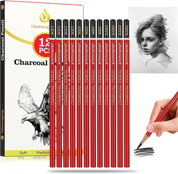 Heshengping Professional Charcoal Pencils Drawing Set -12 Pieces Soft, Medium Hard Charcoal Pencils for Drawing Sketching Shading Artist Pencils for Beginners Artists