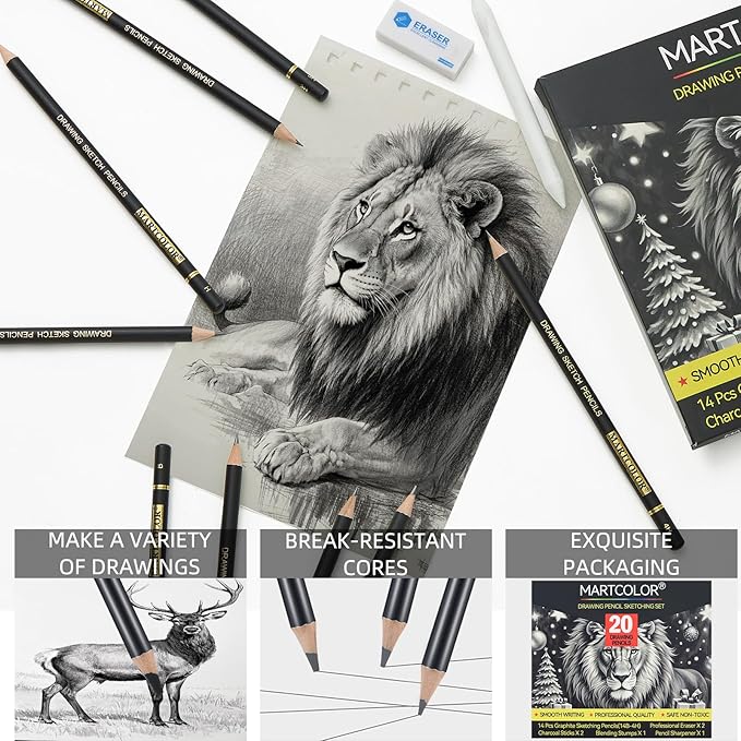 MARTCOLOR Drawing Sketching Pencil Set, 20 Pieces, Graphite Pencils (14B-4H), Charcoal Sticks, Stump, Eraser, Sharpeners, Ideal for Drawing Art, Sketching, Artist Pencils for Beginners & Pro Artists