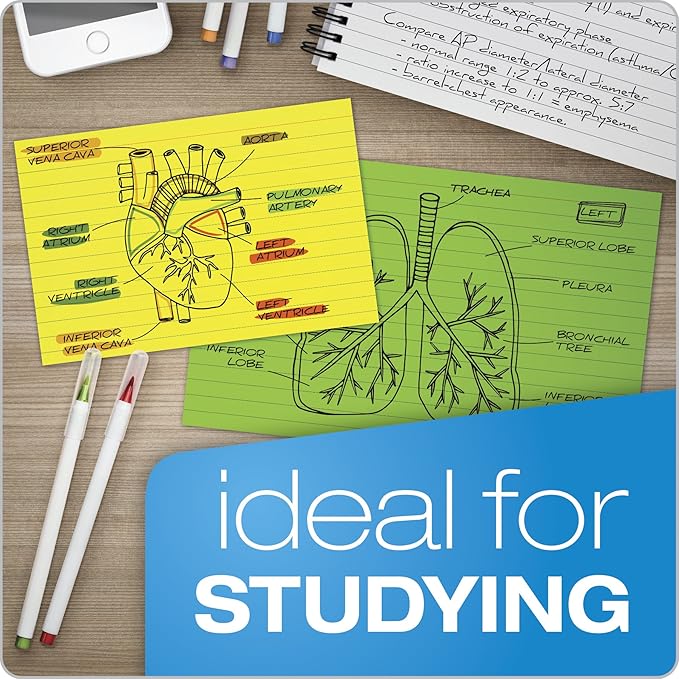 Oxford Neon Index Cards, 3" x 5", Ruled, Assorted Colors, 100 Per Pack (40279)