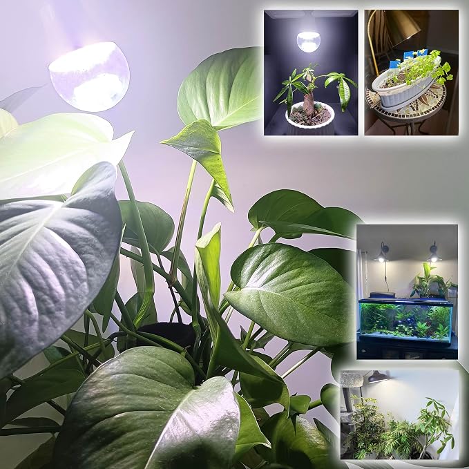 Full Spectrum Grow Light Bulbs for Indoor Plants E12 Candelabra Base | Grow LED Light Bulb 10W with Balanced Spectrum 5000K Blue Red for Seeds Greens Laboratory,School,Greenhouse Garden,6Pcs