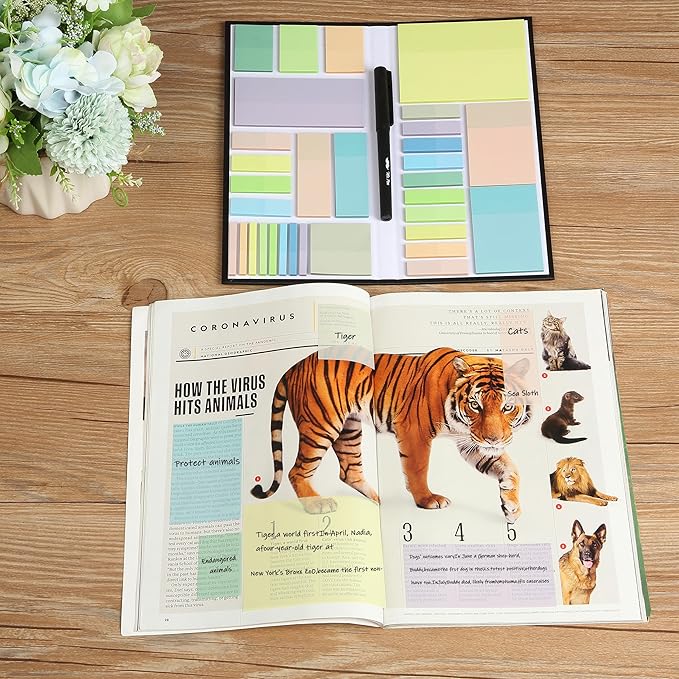 Mr. Pen- Transparent Sticky Notes Set, 1650 Sheets, Transparent Sticky Notes Tabs for Bible Study, Office, School, Planning, Journaling & Organization