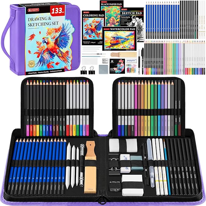133 Pack Art Supplies Sketching Kit with Sketch Book, Coloring Book, Watercolor Pad, Black Paper Pad, Tutorial, Graphite Colored Charcoal Watercolor & Metallic Pencils for Artists Beginners Adults