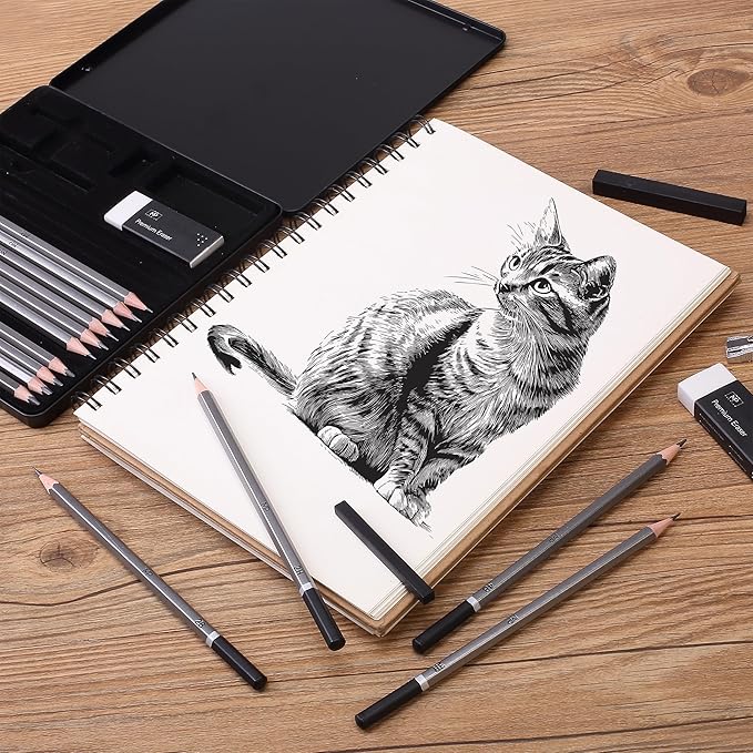 Mr. Pen- Drawing Sketching Pencil Set, 19 pcs, Graphite Pencils (10B-6H), Graphite Sticks, Erasers, Metal Sharpener, for Drawing, Sketching, Shading & Art Projects