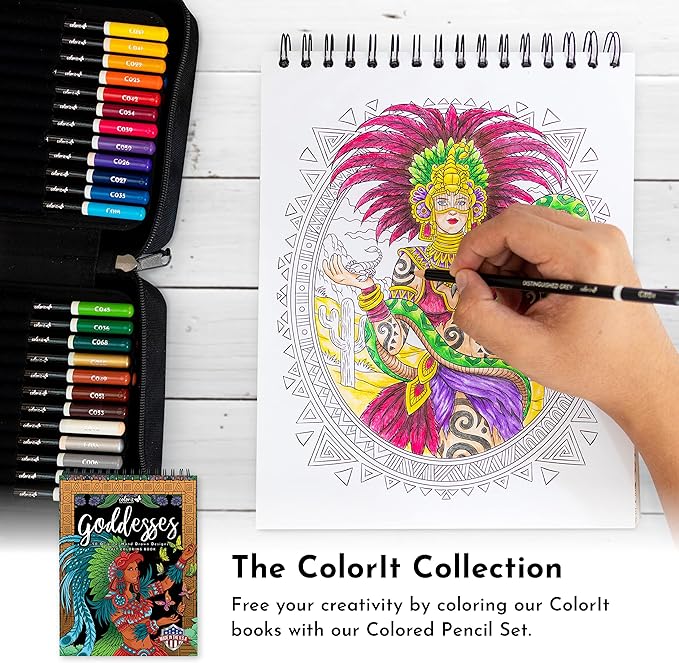 ColorIt 72 Colored Pencils for Artists - Art Tools for Coloring, Drawing & Sketching - Comes with Travel Case, Sharpener & Holder, Plus Bonus Present Box - Colored Pencil Case