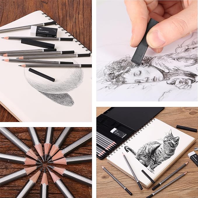 Mr. Pen- Drawing Sketching Pencil Set, 19 pcs, Graphite Pencils (10B-6H), Graphite Sticks, Erasers, Metal Sharpener, for Drawing, Sketching, Shading & Art Projects