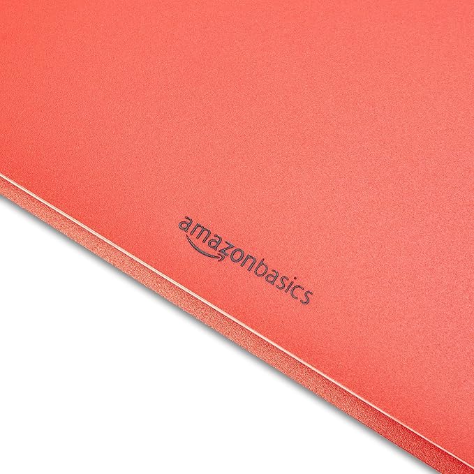 Amazon Basics Heavy Duty Plastic 2 Pocket Folder for Documents, Letter Size Paper, Assorted Colors, Pack of 144