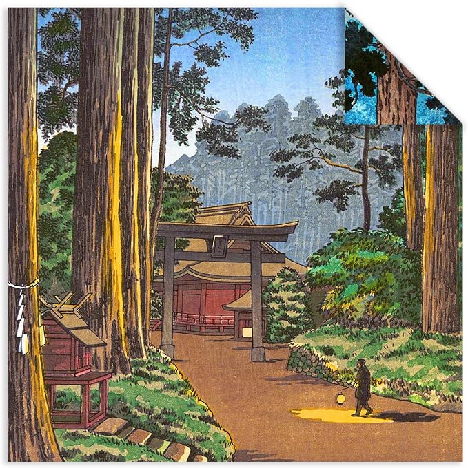 Origami Paper 6x6 Double Sided 50 Sheets 10 Colors origami kit Japanese Chiyo Square Craft Kits Easy Fold Arts Crafts DIY Handwork Building