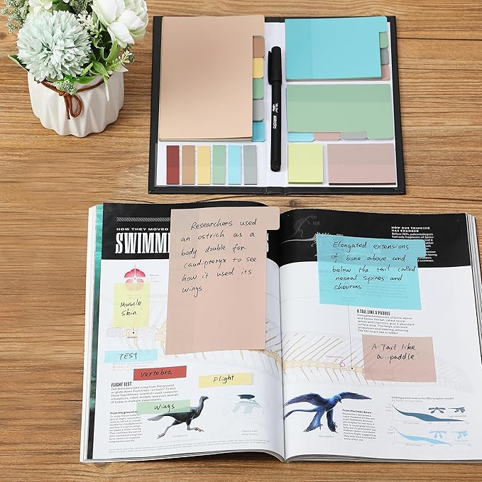 Mr. Pen- Transparent Sticky Notes Set, 410 Pack, Transparent Sticky Notes Tabs with Black Fineliner Pen for Bible Study, Office, School, Planning, Journaling & Organization