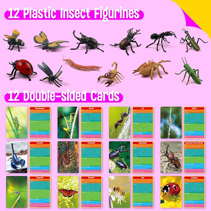 12 PCS Plastic Insect Figurines with 12 Introduction Flashcards, Small Creature Learning Recognition Cards Realistic Bug Models Educational Learning Toy Set for Kids, Classroom