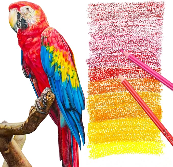 HIFORNY 80 Colored Pencils Set for Adults Coloring – 72 Colors Coloring Pencils with Extras,Artists Soft Core,Drawing Pencils Art Craft Supplies for Adults Beginners