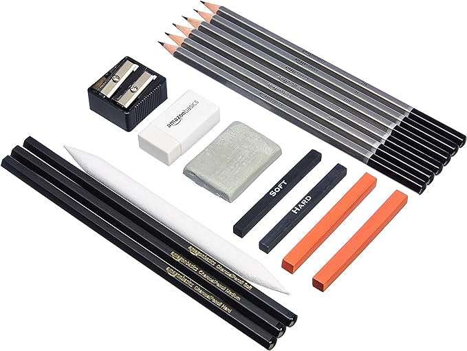 Amazon Basics Sketch and Drawing Art Supply Kit, 17-Piece, Charcoal and Pencil Set, Black, White