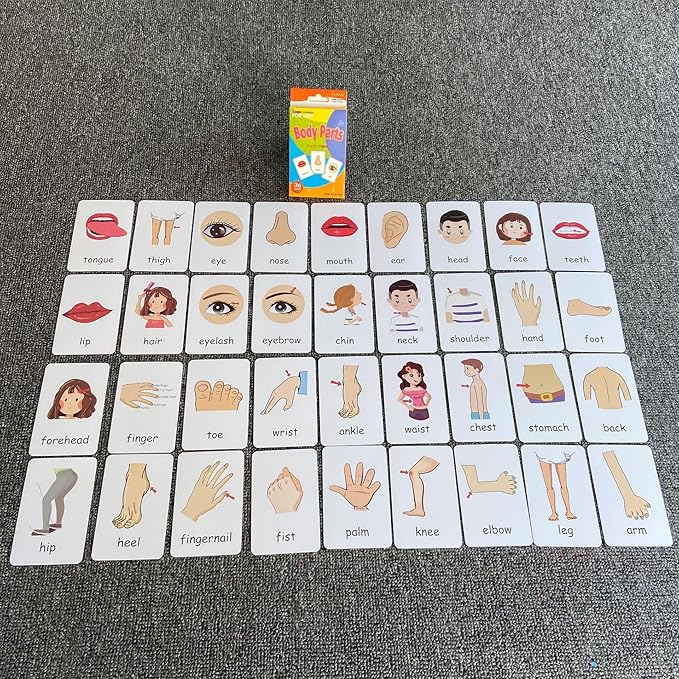 Flash Cards for Toddlers, Educational Learning Set of 144, Body Animal Food Fruit Cards, Ages 2-6, Montessori Preschool Learning Toys for Kindergarten (Orange, Pocket-Size)