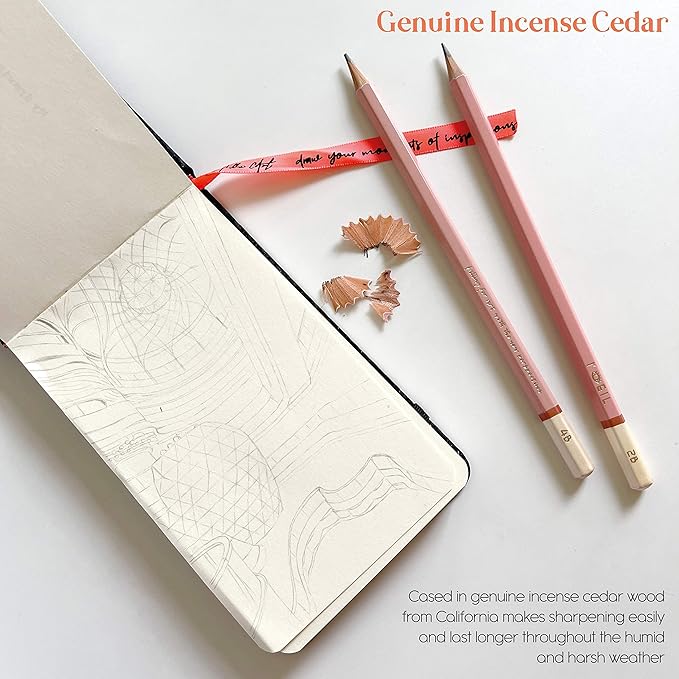 L'oeil Professional Soft Graphite Sketching Pencils Set of 12 (Selected 3H-10B) in Incense Cedar Wood for Pencil Drawing, Sketching, Shading for Beginners & Pros (Pink)